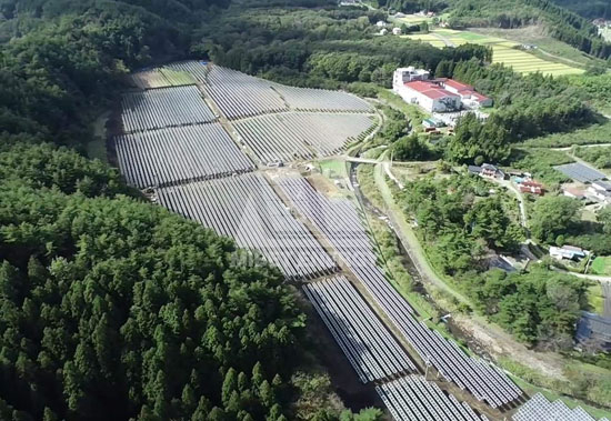 春回大地，迈贝特见证日本福岛重焕生机